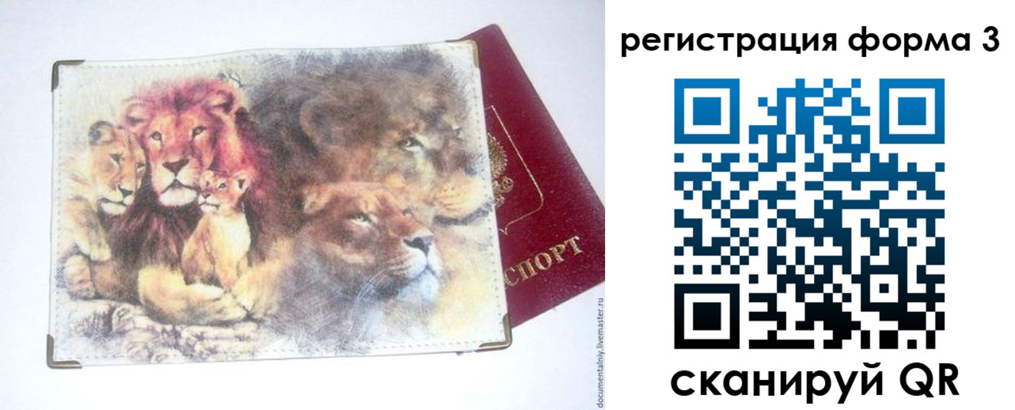 прописка в квартире в Полярных Зорях